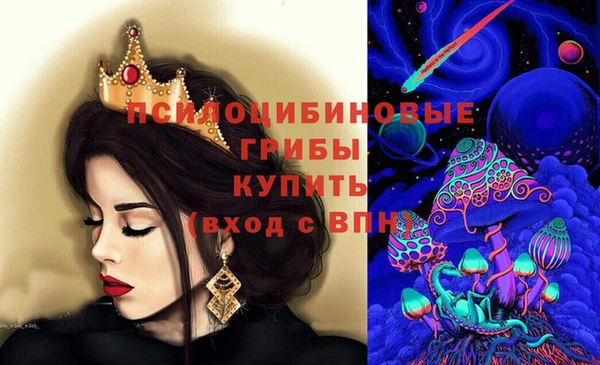 молекула духа Бугульма